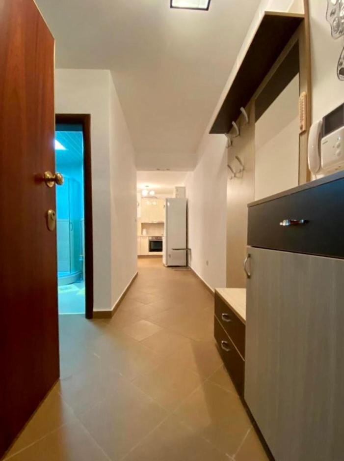 Apartment Liza Petrovac Exterior foto